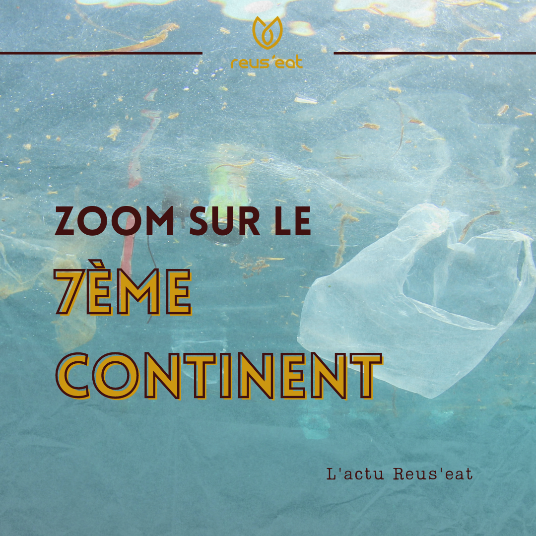 Lire la suite à propos de l’article Zoom sur le 7ème continent